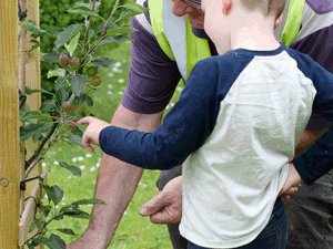 A man and a child talking about a newlt planted tree